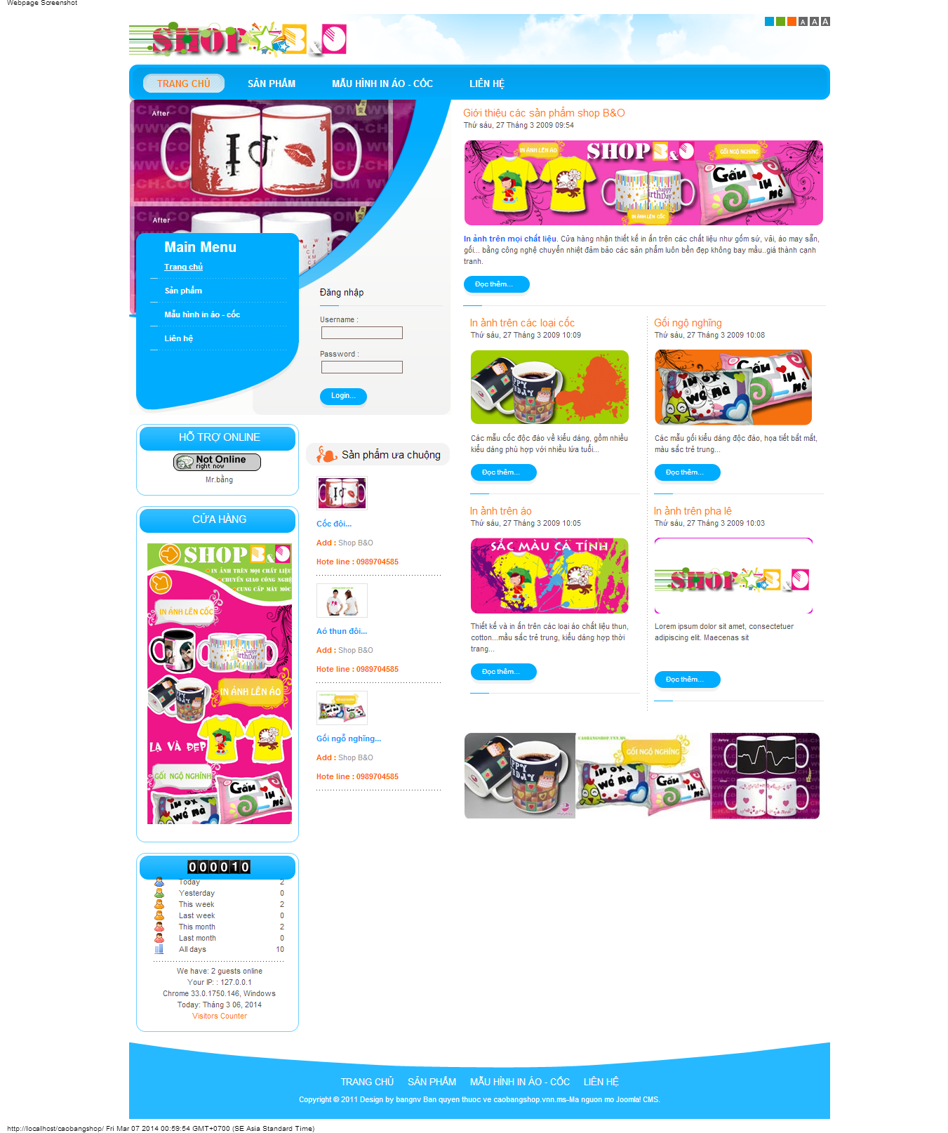 demo website